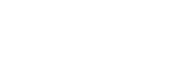 *zünder Partner | swiss startup assoacion